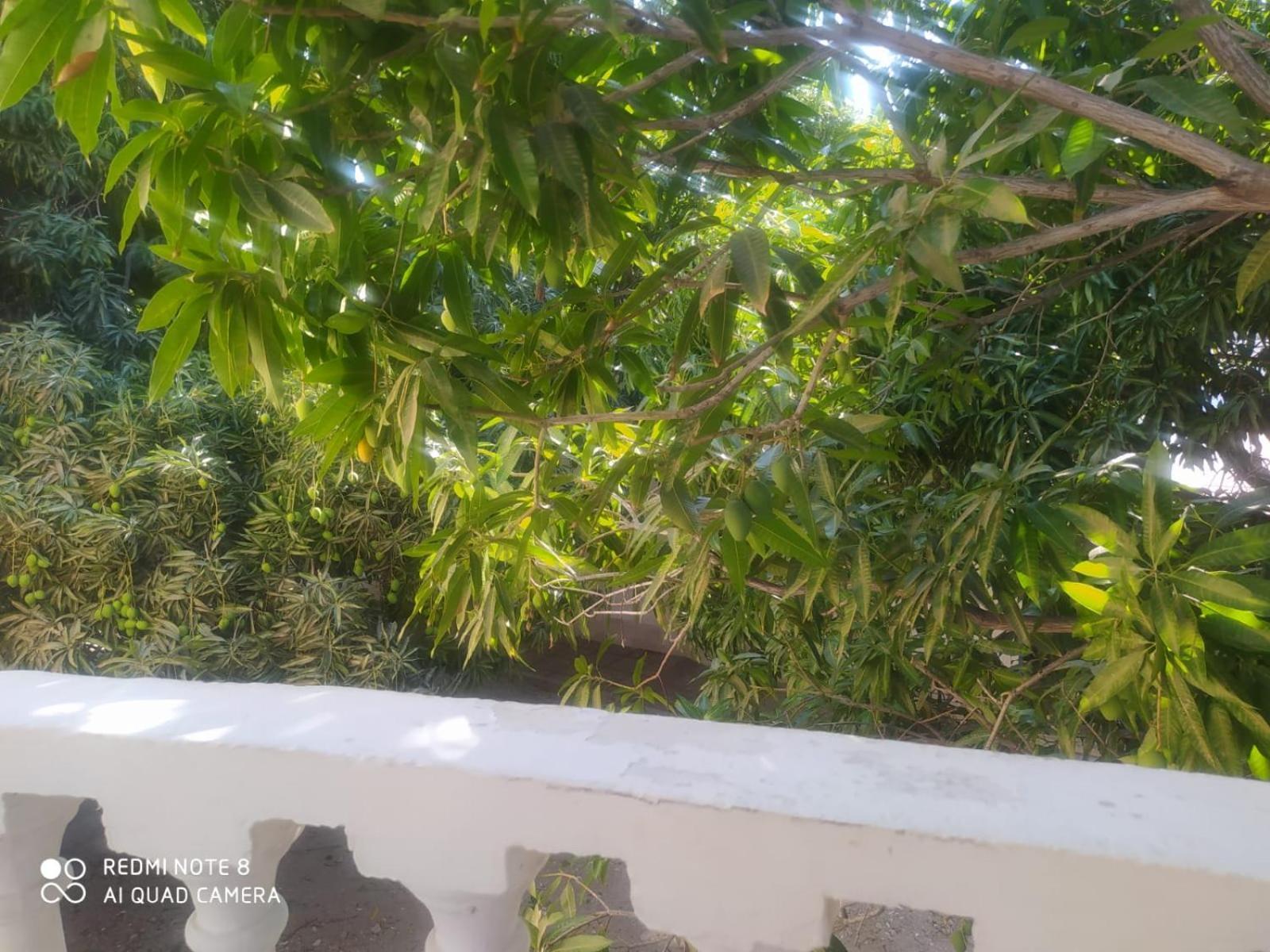 Casa Valentina Del Mar-rodadero-santa Marta Appartement